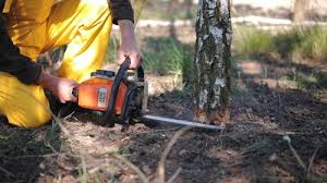 Best Utility Line Clearance  in Ponderay, ID