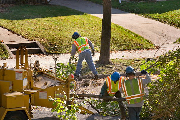 Best Leaf Removal  in Ponderay, ID
